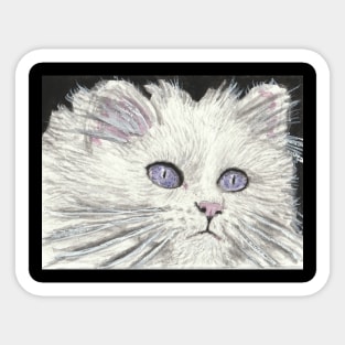 Beauty white cat face  art Sticker